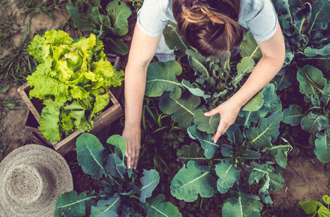 Just Good Soil Regenerative Gardening Principles: Cycle Nutrients Naturally