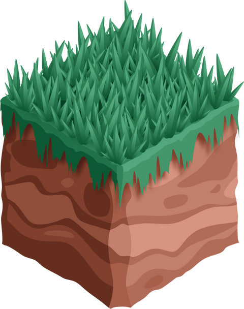 2. Avoid Bare Soil