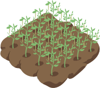 2. Use Cover Crops