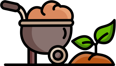 5. Use Mulch