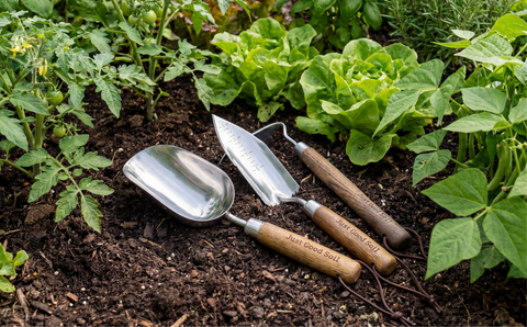 Potting Soil, Compost, and Topsoil: What They Actually Are and When to Use Each