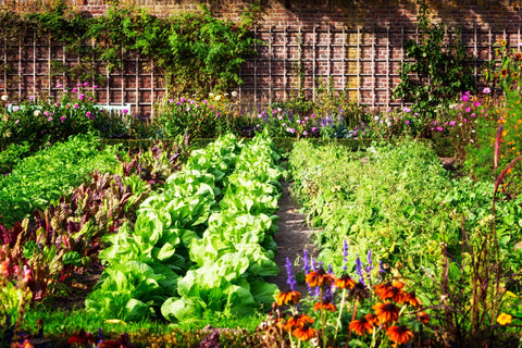 Just Good Soil Regenerative Gardening Principles: Build and Protect Healthy Soil 