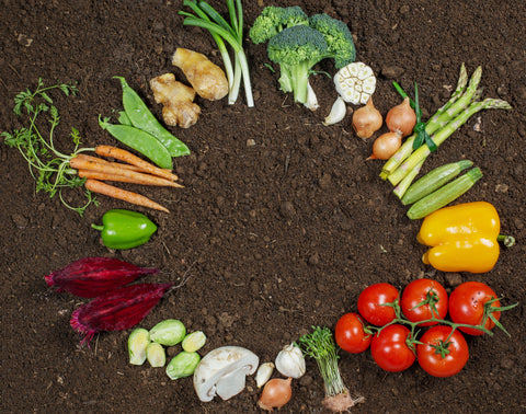 How Much of Our Food Comes from the Soil?