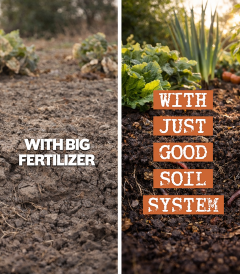 The Complete Regenerative Gardening System