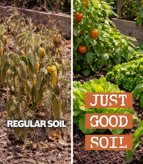 Essential Nutrient Protocol