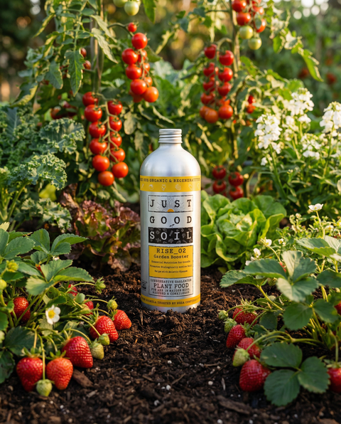 Rise_02 - Garden Booster
