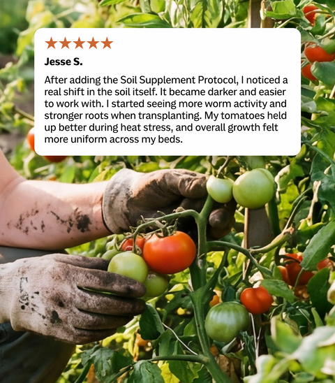 Soil Supplement Protocol