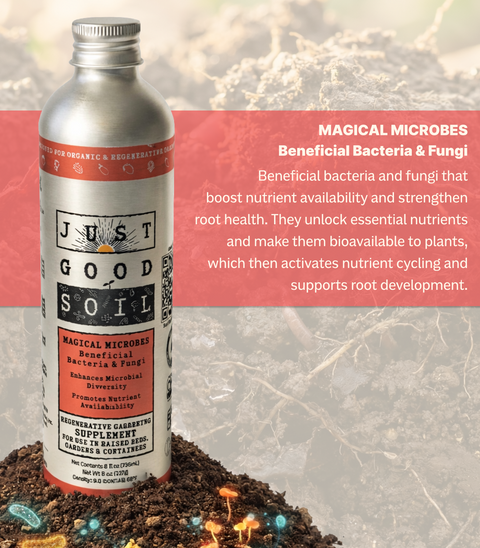 Magical Microbes - Beneficial Bacteria & Fungi