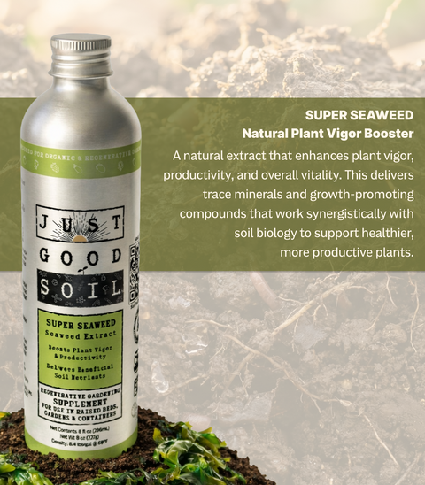 Super Seaweed - Kelp Extract